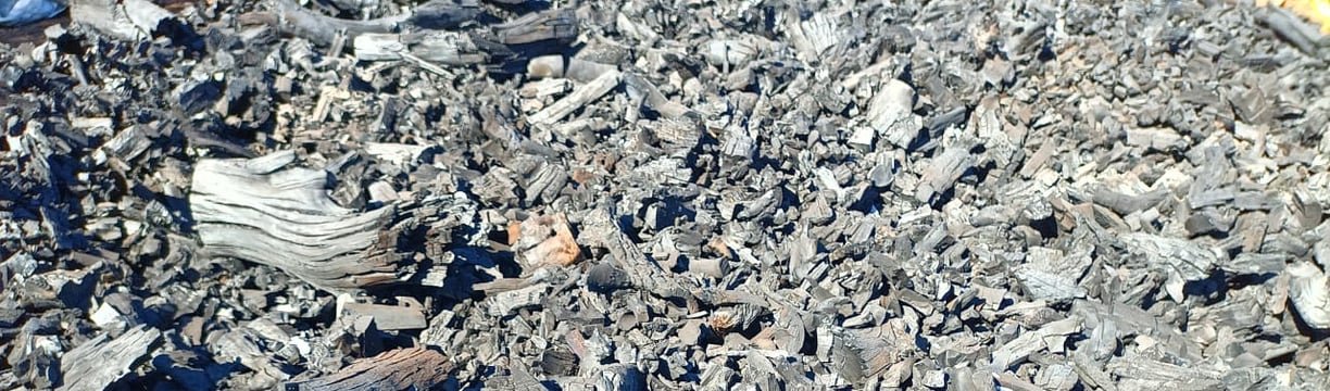 Carbón Quebracho Blanco de Exportación